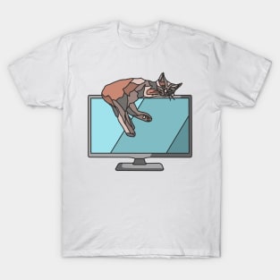 Brown Cat Sleeps on Monitor T-Shirt